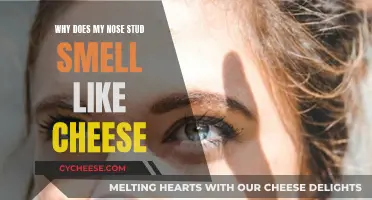 Cheesy Nose Stud: Why Does It Happen?