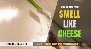 Unusual Odor: Paint Smelling Like Cheese