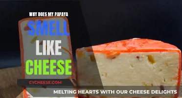 Papaya's Cheesy Odor: Why Does This Happen?