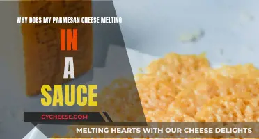 Parmesan Cheese Melting in Sauce: The Science
