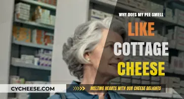 Why Does My Pee Smell Like Cottage Cheese? Causes Explained