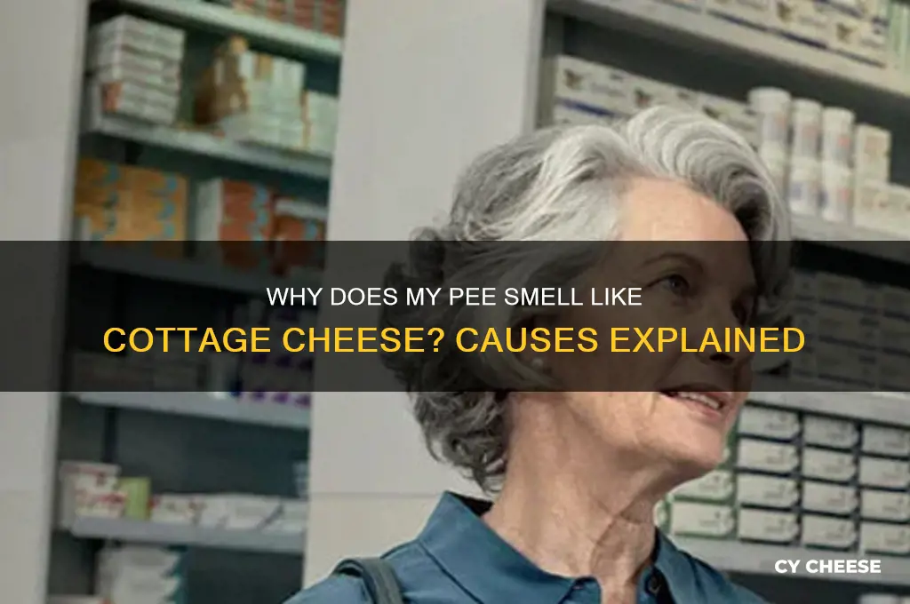 why does my pee smell like cottage cheese