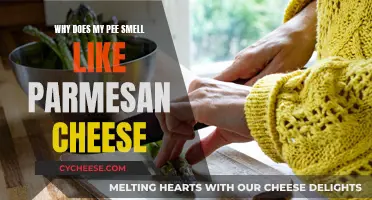 The Parmesan Cheese-like Odor in Urine: Why?