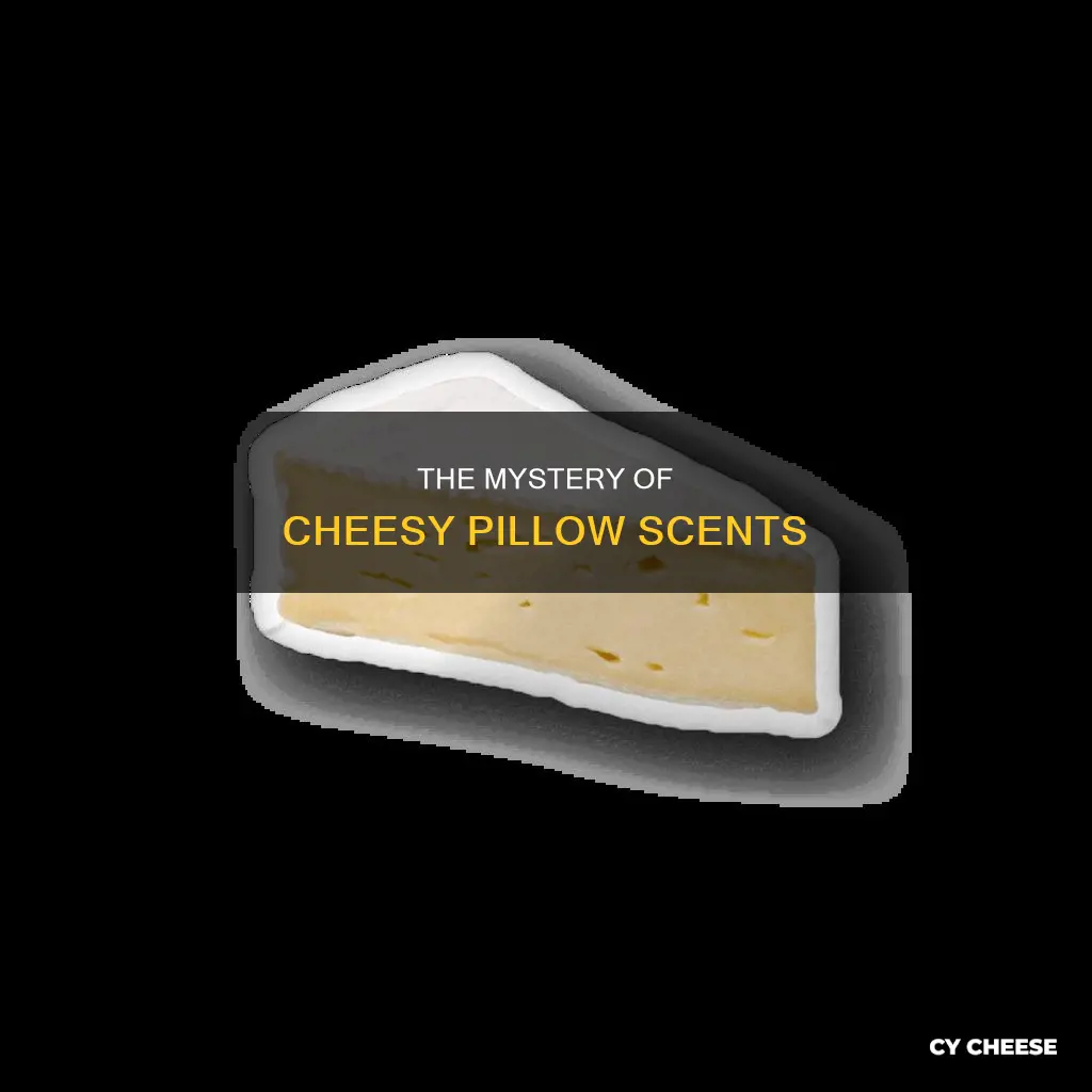 why does my pillow smell like cheese