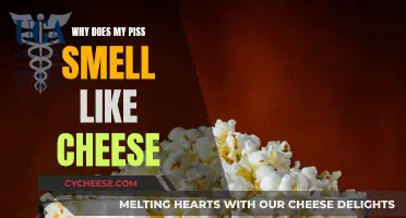 The Mystery of Cheese-Like Urine Odor: A Health Concern?