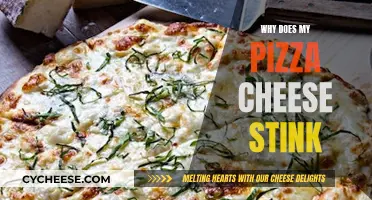 The Stinky Truth About Pizza Cheese