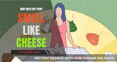 Unraveling the Mystery of Cheese-Like Odor in Feces