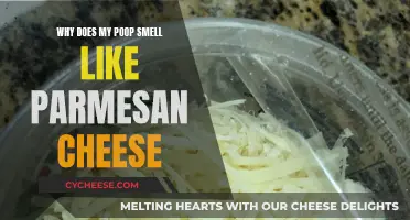 The Parmesan Poop Mystery: What's That Smell?