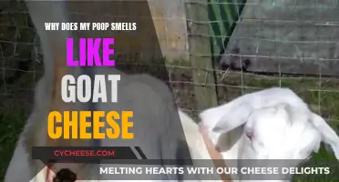 Goat Cheese Poop: What's That Smell?