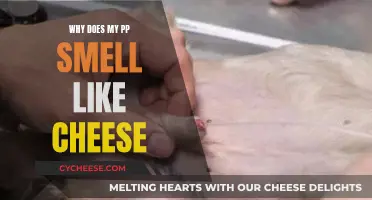 The Pungent Cheese-like Smell of Private Parts Explained