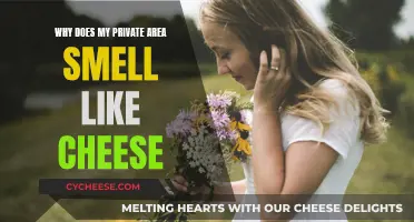 Vaginal Odor: Why Does It Smell Like Cheese?