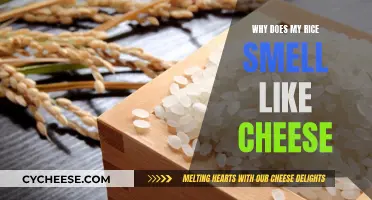 Unraveling the Mystery of Cheesy-Smelling Rice