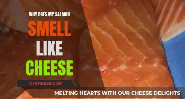 Salmon's Cheesy Odor: Why It Happens and How to Fix It