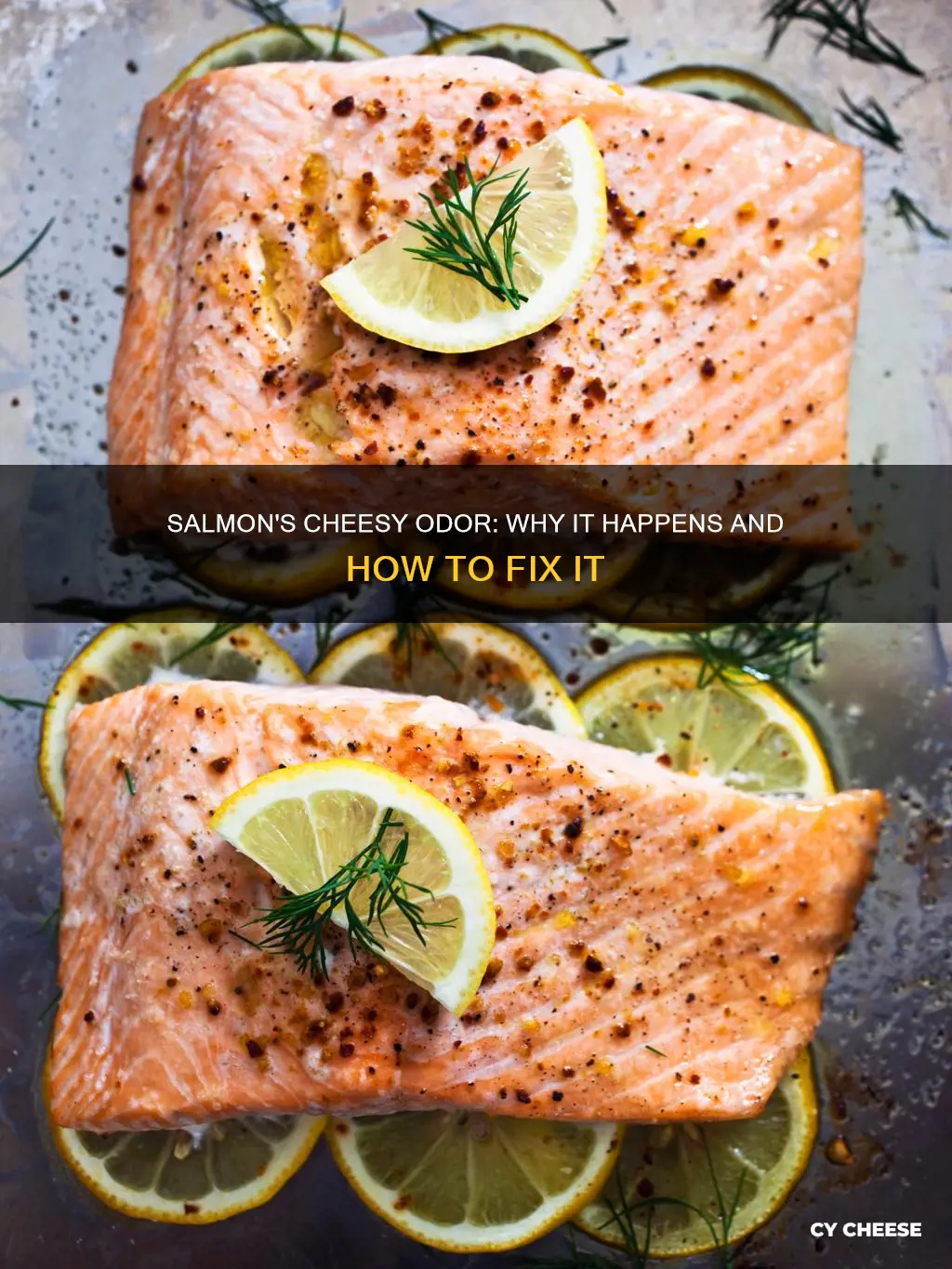 why does my salmon smell like cheese