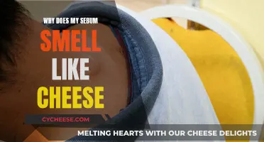 Sebum's Cheesy Smell: Why Does it Happen?