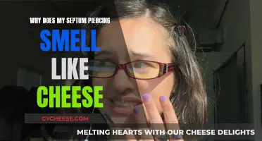 Septum Piercing Smells Like Cheese: Why?