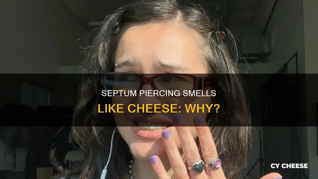 why does my septum piercing smell like cheese
