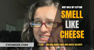Septum Smells Like Cheese: Why Does This Happen?