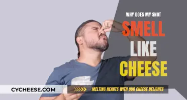The Mystery of Cheese-Like Scented Snot: Unveiled!