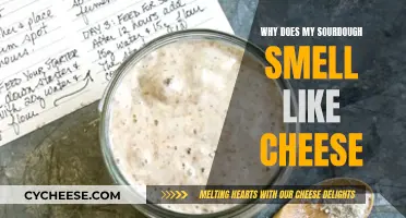 Sourdough's Cheesy Smell: Why It Happens and How to Fix It