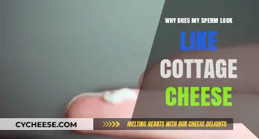 Cottage Cheese-Like Sperm: Causes, Concerns, and When to Seek Help