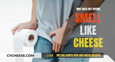 Unusual Sperm Odor: Why Does It Smell Like Cheese?