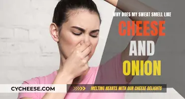 Understanding the Science Behind Stinky Sweat