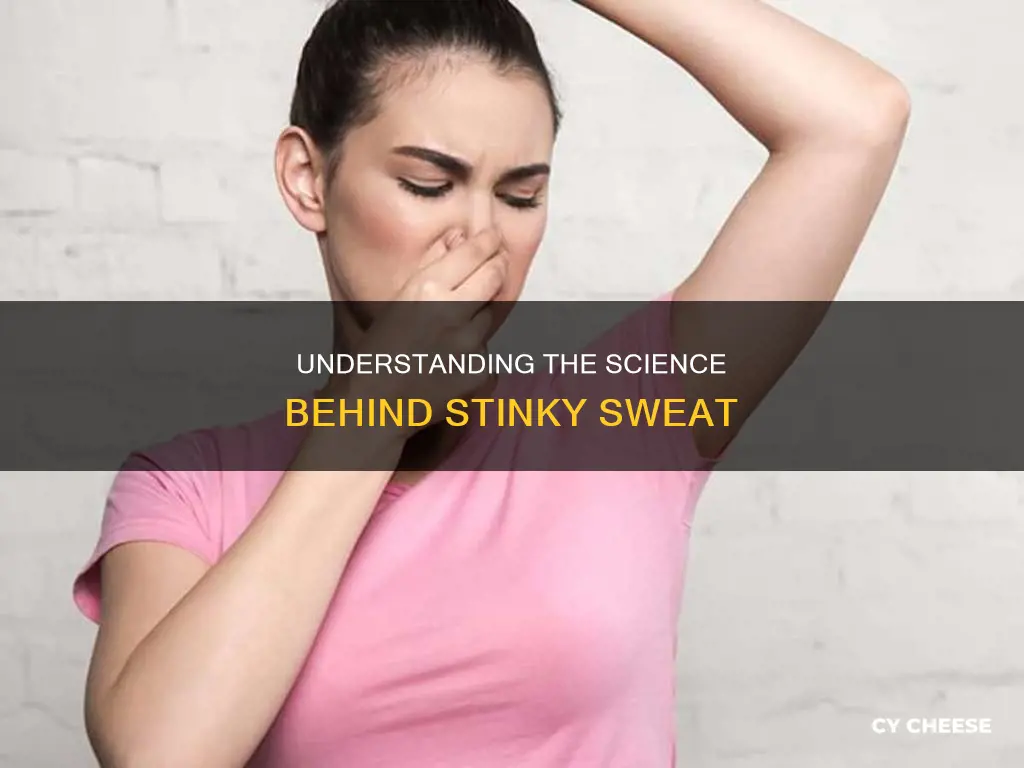 why does my sweat smell like cheese and onion