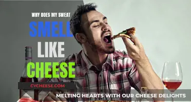 Unraveling the Mystery of Cheesy Sweat: What's the Science?