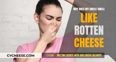 The Mystery of Stinky Sweat: Rotten Cheese Odor
