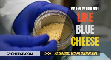 Unraveling the Mystery of Blue Cheese-Scented Urine