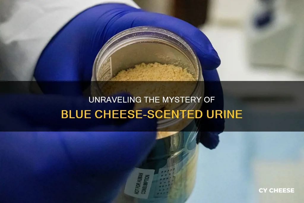 why does my urine smell like blue cheese