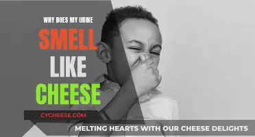 Unraveling the Mystery of Cheese-Like Urine Odor