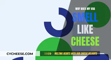 Vaginal Odor: Why Does It Smell Like Cheese?