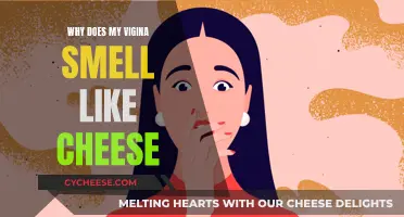 Vaginal Odor: Why Does It Smell Like Cheese?