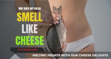 The Vulva Cheese Smell: Why Does It Happen?