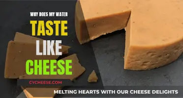 Unraveling the Mystery of Cheesy-Tasting Water