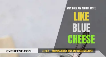 Yogurt's Unintended Blue Cheese Taste: Why Does This Happen?