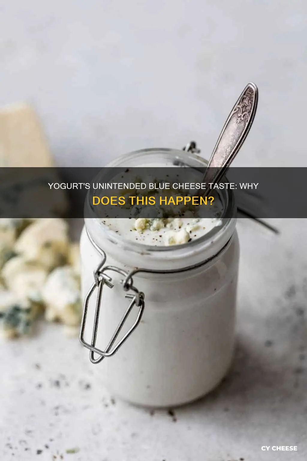 why does my yogurt taste like blue cheese