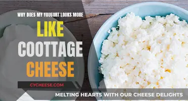 Yogurt's Transformation: Cottage Cheese Conundrum