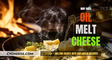Oil Melts Cheese: The Science Behind It