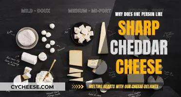 The Sensory Appeal of Sharp Cheddar: A Personal Preference Explored