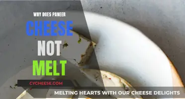 The Mystery Behind Paneer's Unmelted Glory