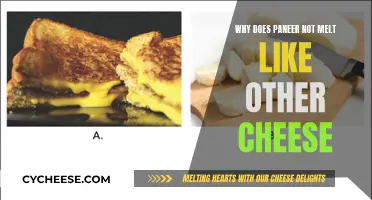 The Mystery Behind Paneer's Unmelted Solid State