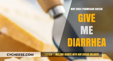 Parmesan Cheese Diarrhea: The Real Reason Why