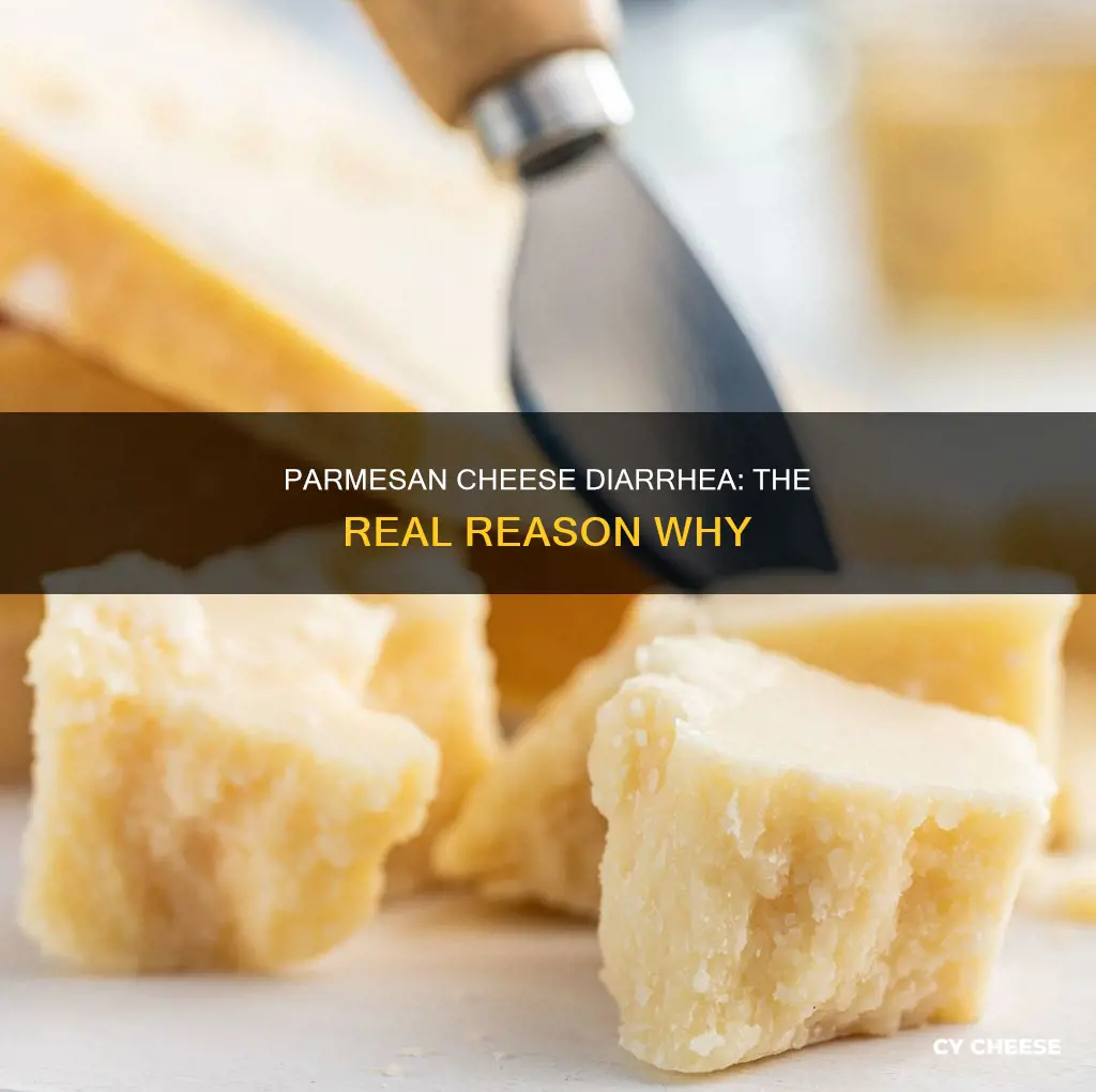why does parmesan cheese give me diarrhea