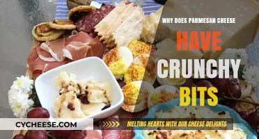 Parmesan Cheese: Why the Crunchy Bits?