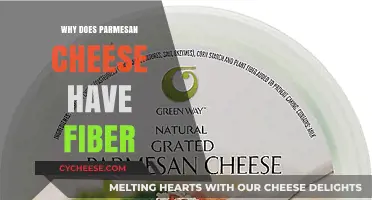 Parmesan Cheese: Fiber-Rich Superfood