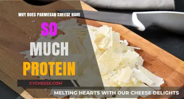 Why Parmesan Cheese is a High-Protein Dairy Powerhouse