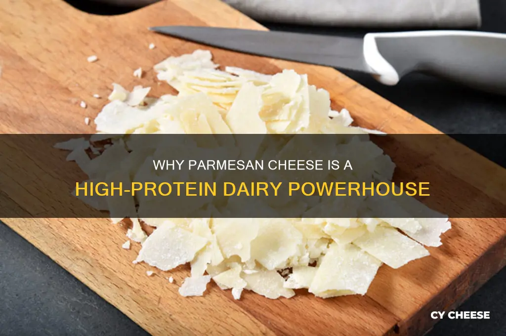 why does parmesan cheese have so much protein